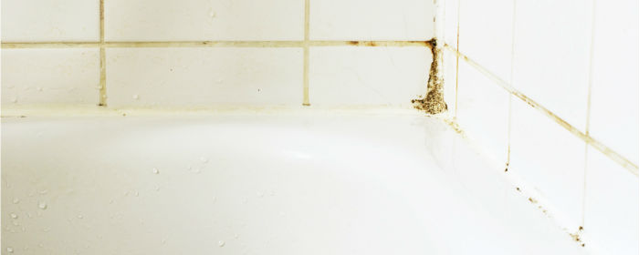 浴室や浴槽にこびりついたカビや汚れが落ちない